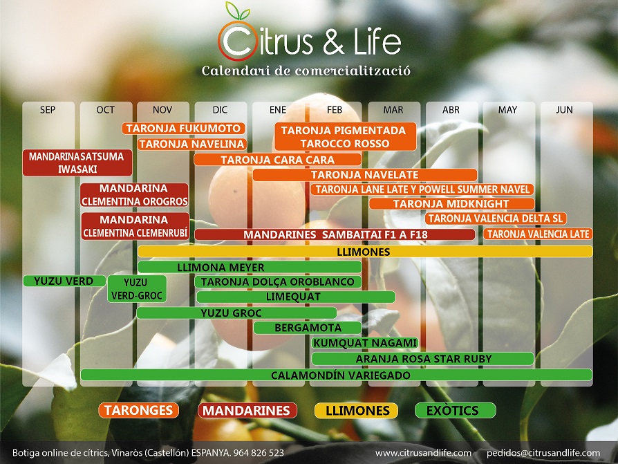 Citrus&Life - Calendario de comercialización
