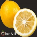 Limones