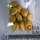 Semillas de Yuzu