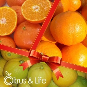 Pack oranges, mandarins, and lemons