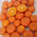 Pack naranjas, mandarinas y limones