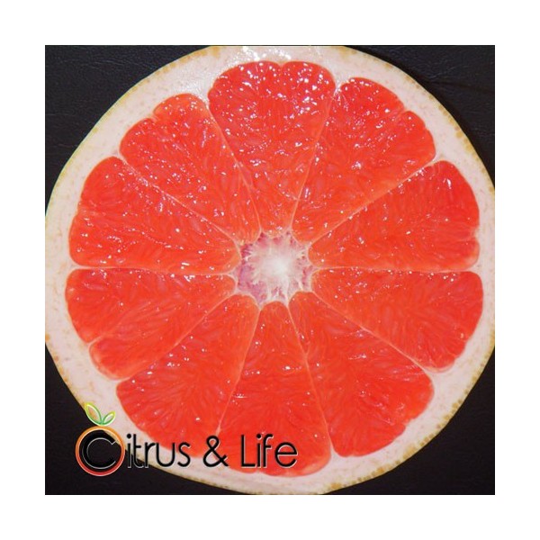 Pink Grapefruit ~ Citrus & Life