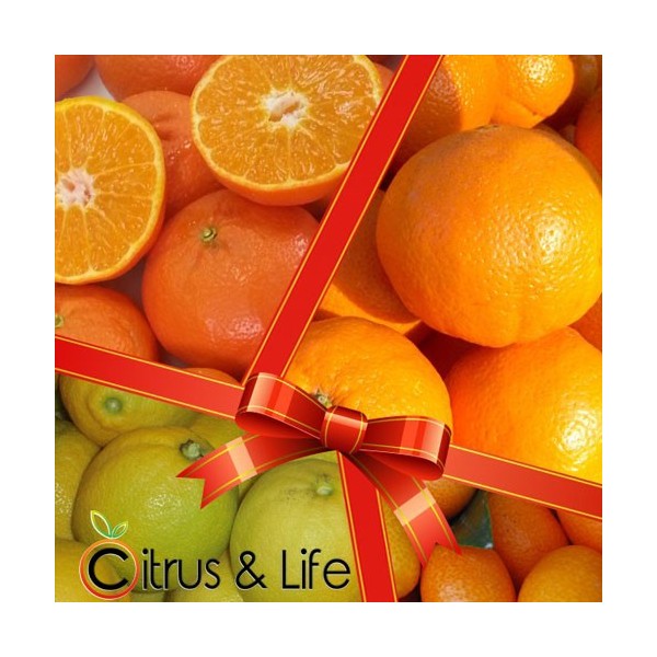 Pack 2 orangen, mandarinen, zitronen und exotischen