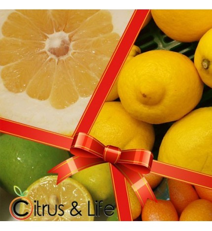Packs exotic citrus fruits
