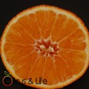 Clementina Clemenrubi